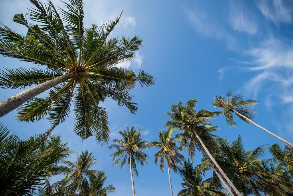 Seavana Koh Mak Beach Resort Экстерьер фото